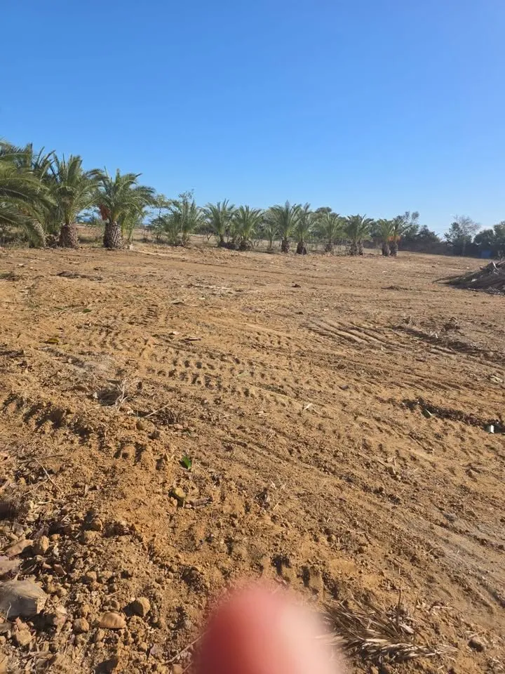 đTerrain Avec Vue Mer En Vente | Gandouz Hergla