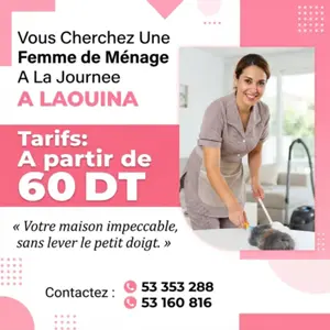 femme de menage par jour 