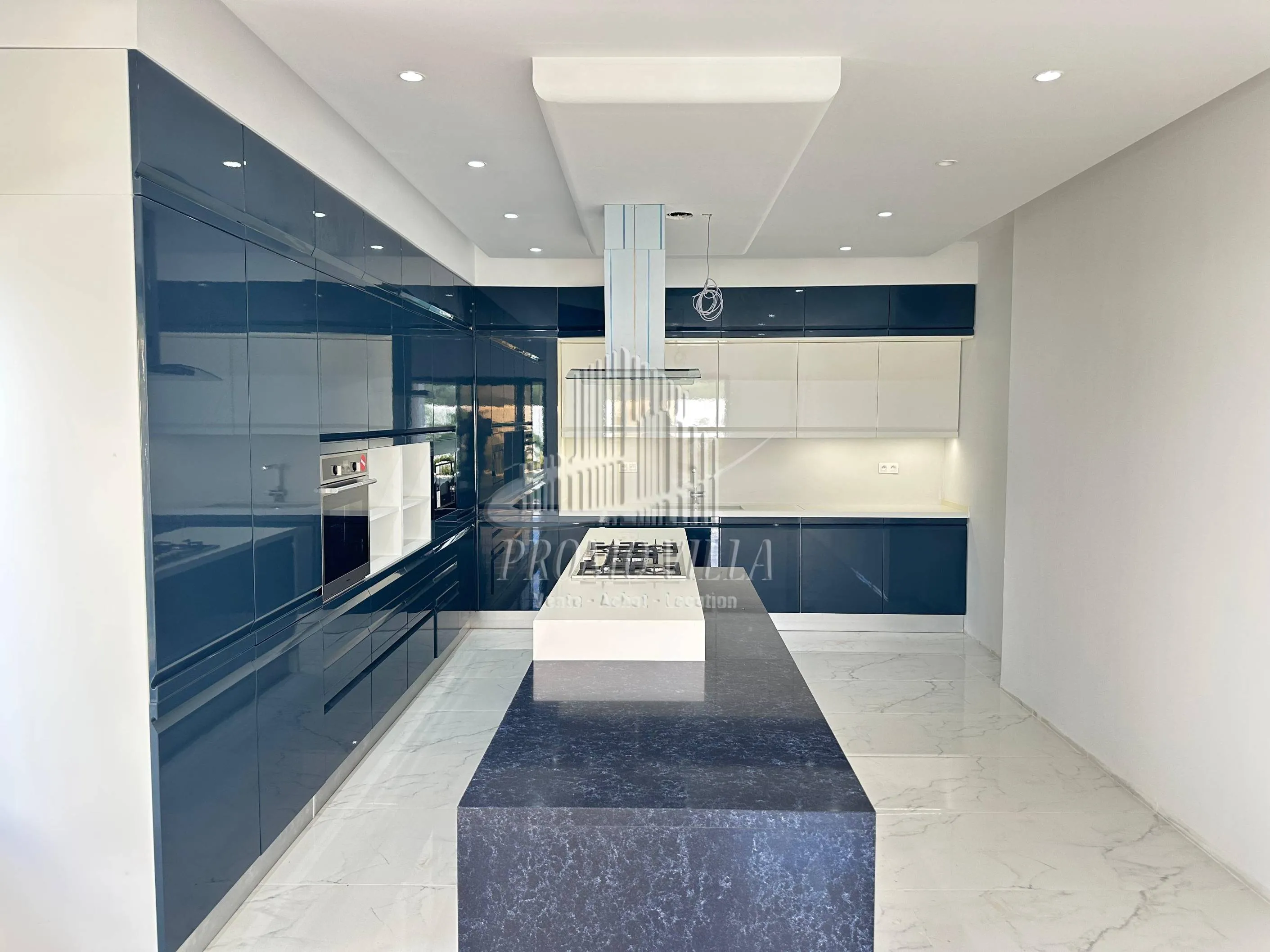 une luxueuse villa très haut standing de style arabesque