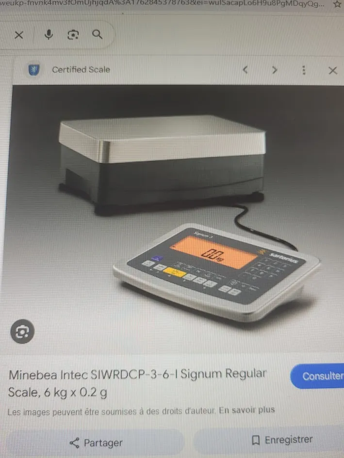 Balance de laboratoire précise SARTORIUS SEGUM