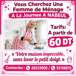 femme de ménage par jour
