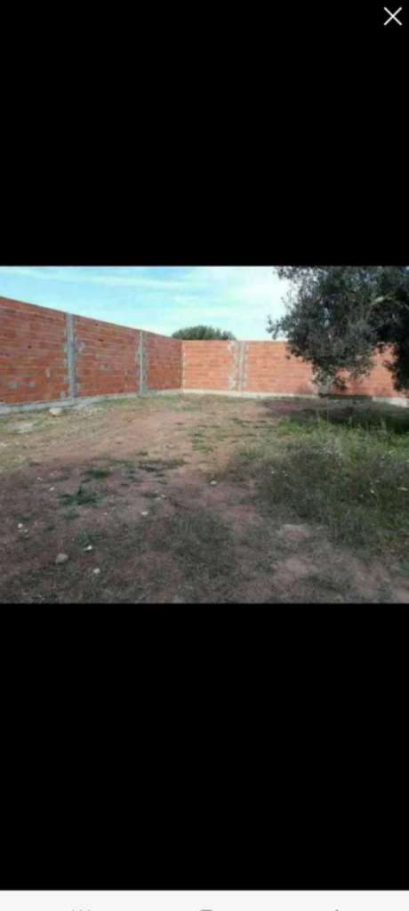 Maison 500m2 yasmine hammamet 170.000 MD 