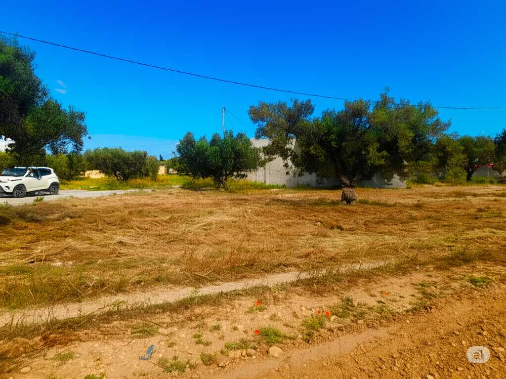 فرصة عقارية جديدة 