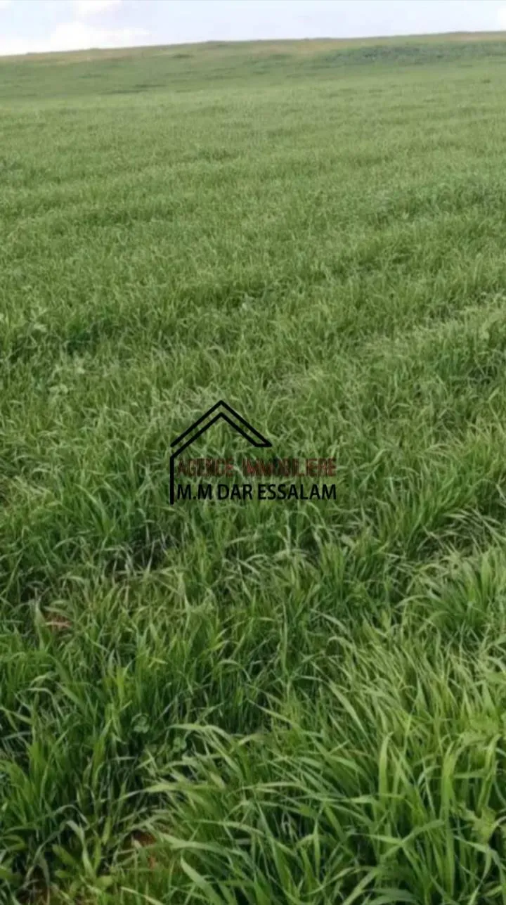 terrain agricole à vendre