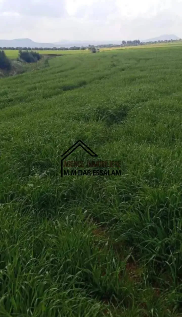 terrain agricole à vendre