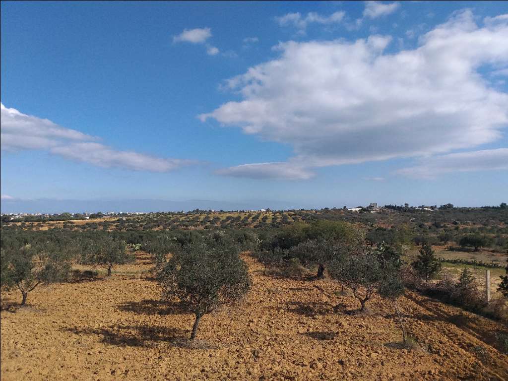 Terrain à Rmila chott Meriem Sousse