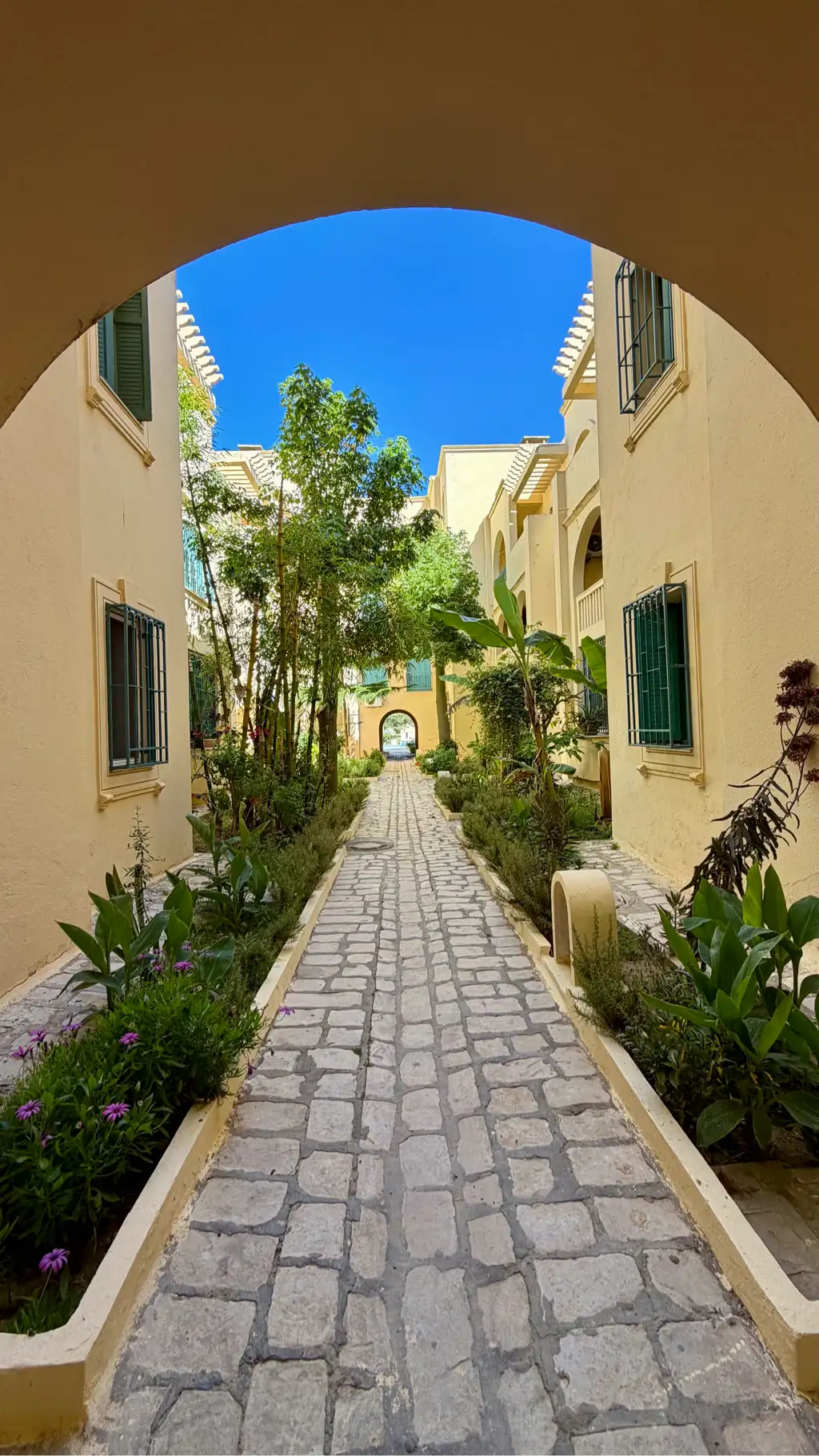 للكراء في ياسمين الحمامات ا Appartement à louer Yasmine Hammamet