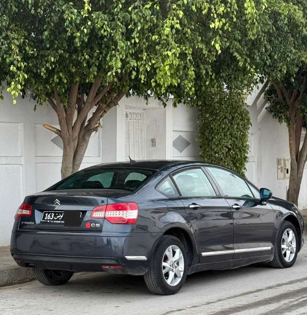 ⚜️ Citroën C5 ⚜️