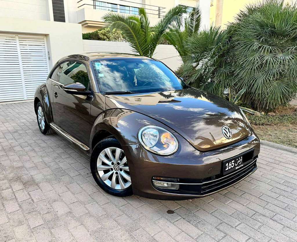 VOLKSWAGEN COCCINELLE 2013