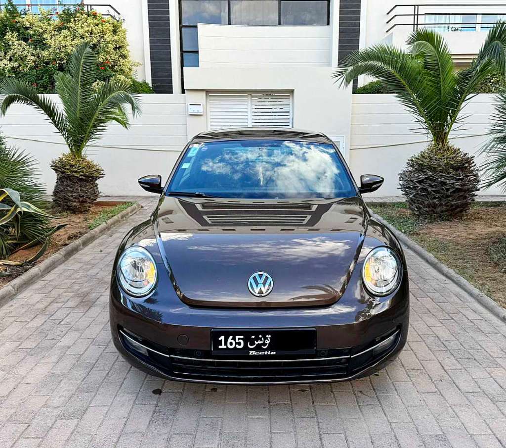 VOLKSWAGEN COCCINELLE 2013