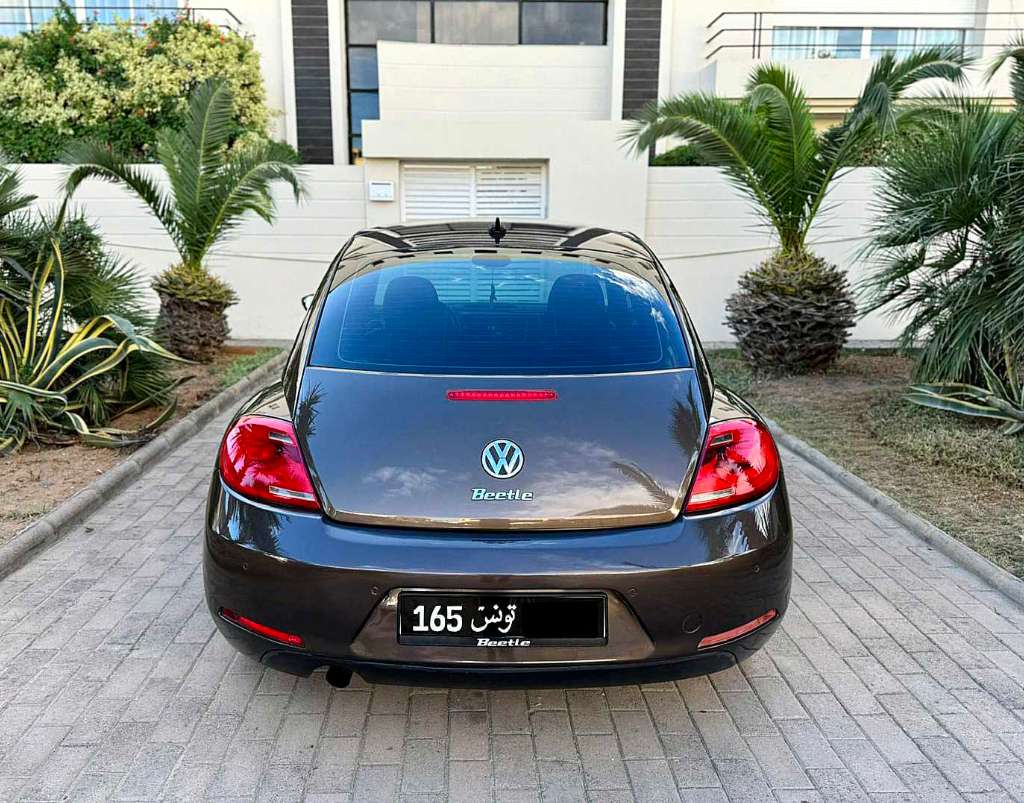 VOLKSWAGEN COCCINELLE 2013