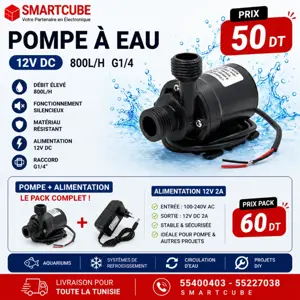 Pompe à Eau 12V DC 800L/H avec Alimentation 12V 2A 