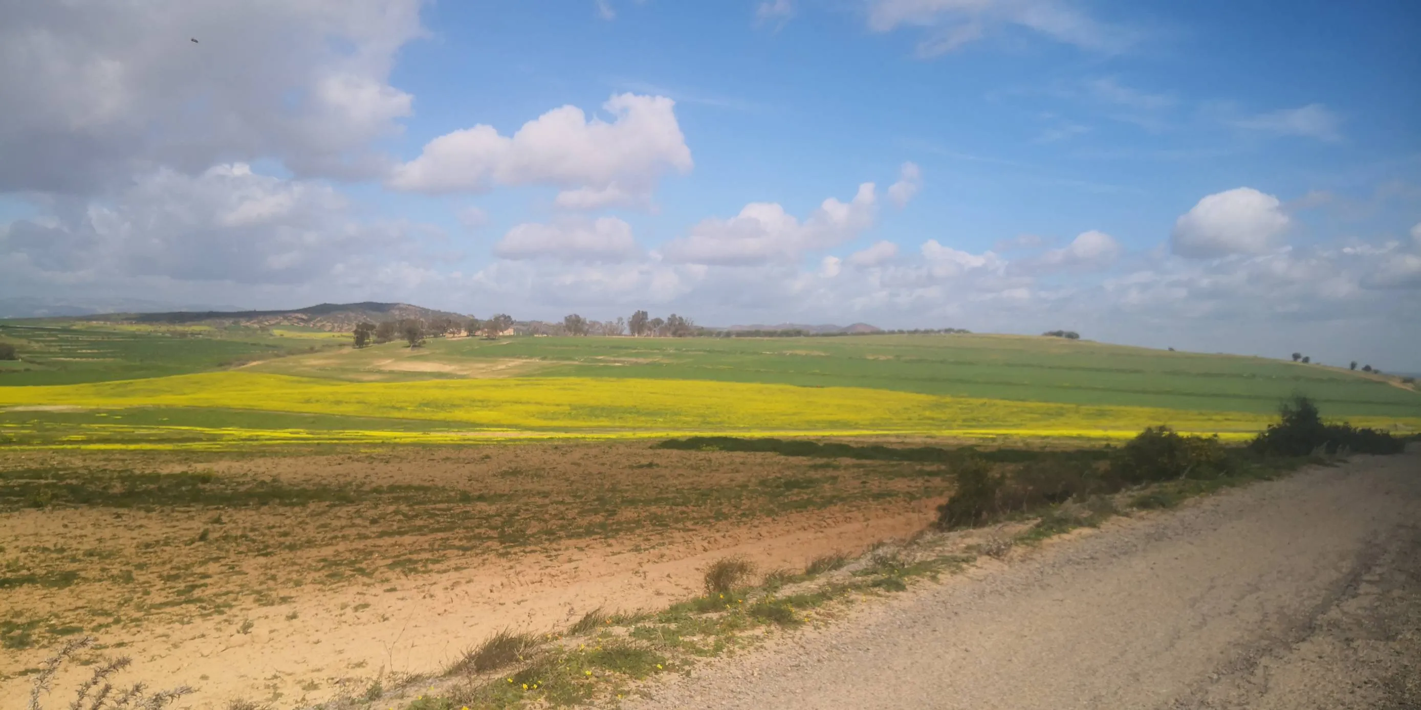 6.3 Hectare a goubellat