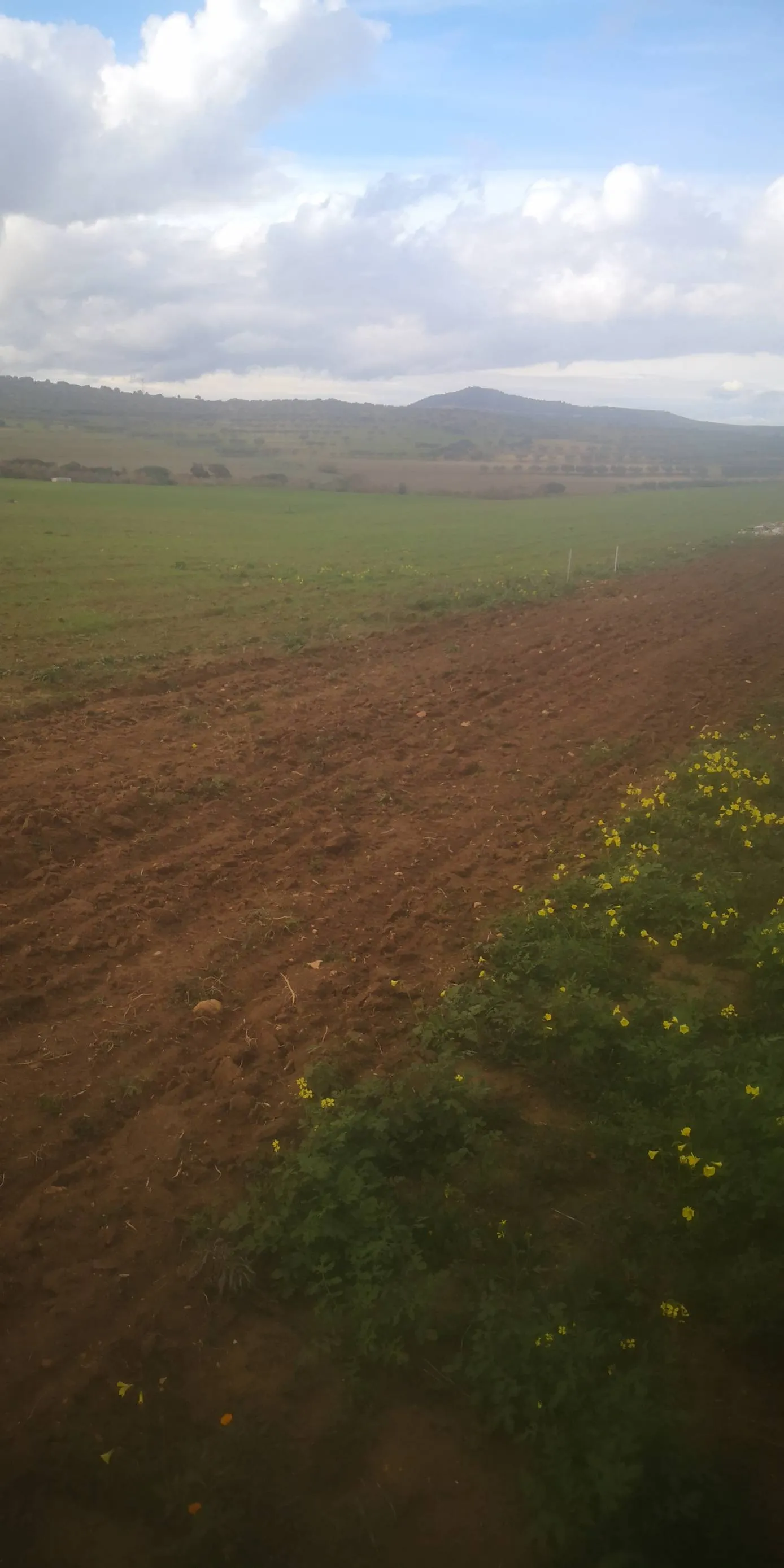 6.3 Hectare a goubellat
