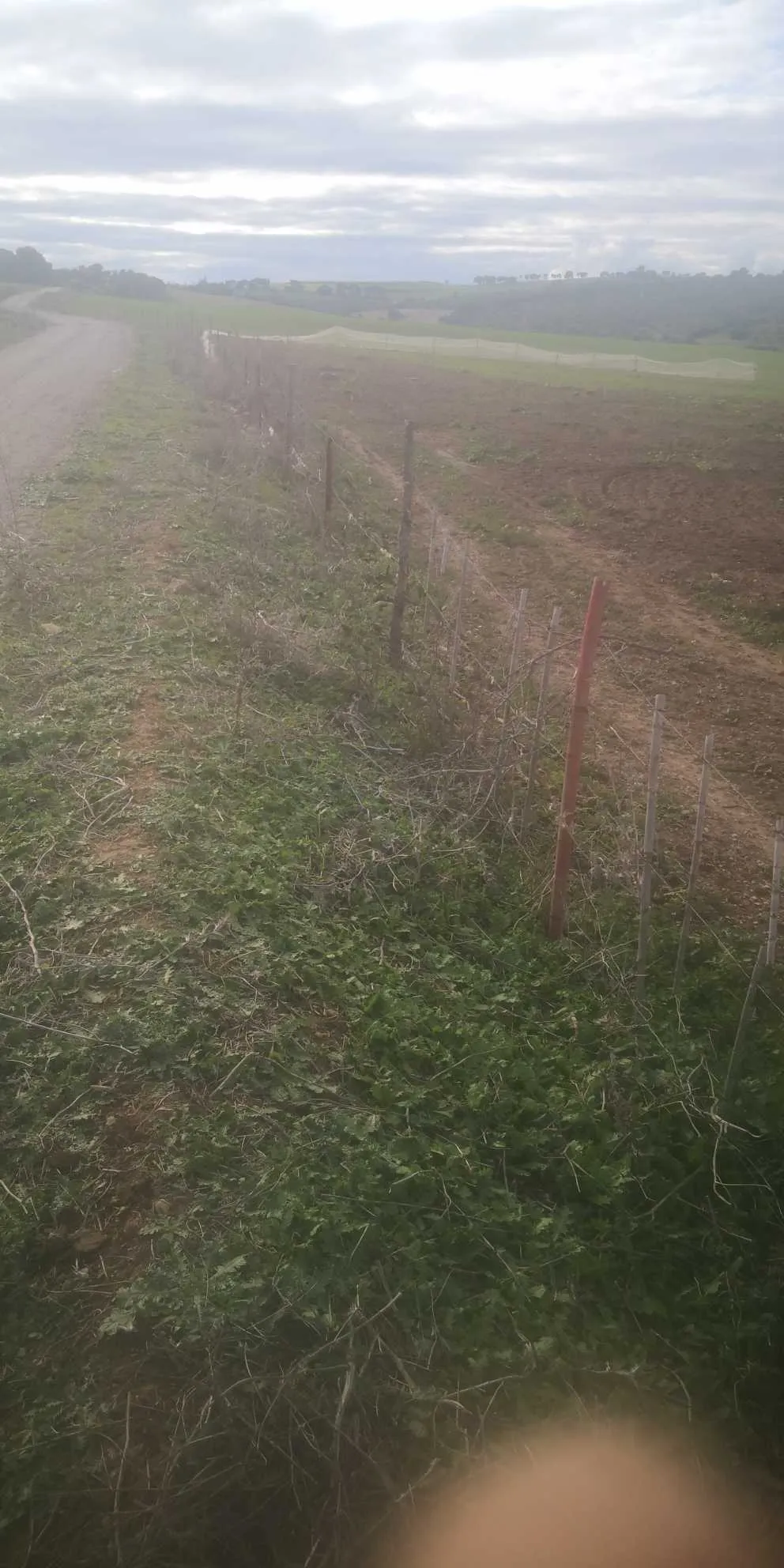 6.3 Hectare a goubellat