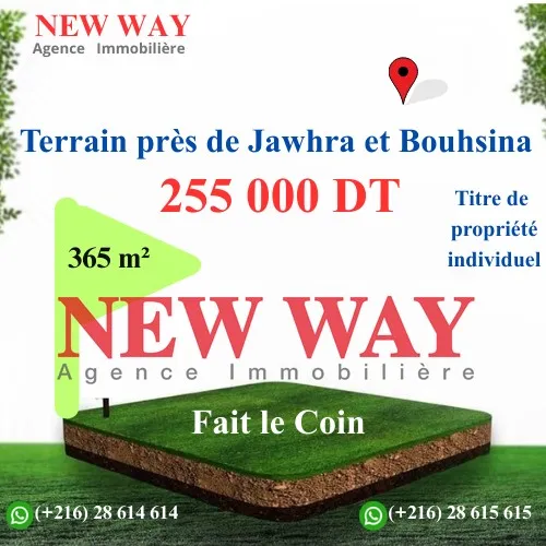 Terrain fait le Coin, Prés de Jawhra et Bouhsina