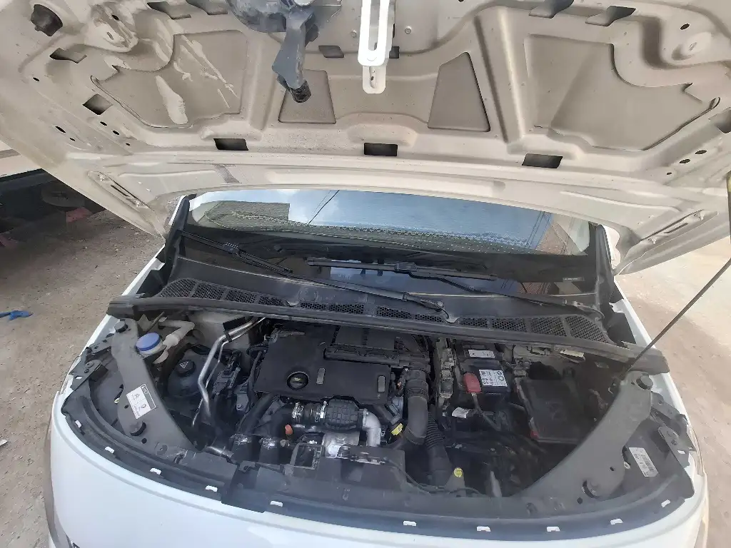 Citroën berlingo k9 (1.6)