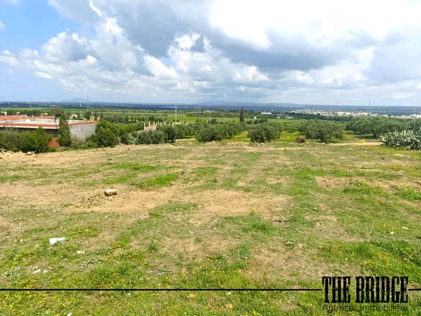 1000 m² vue sur les vergers de Bou Argoub