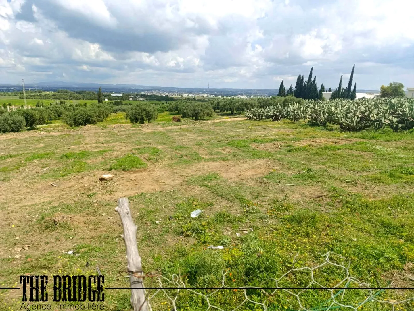 1000 m² vue sur les vergers de Bou Argoub