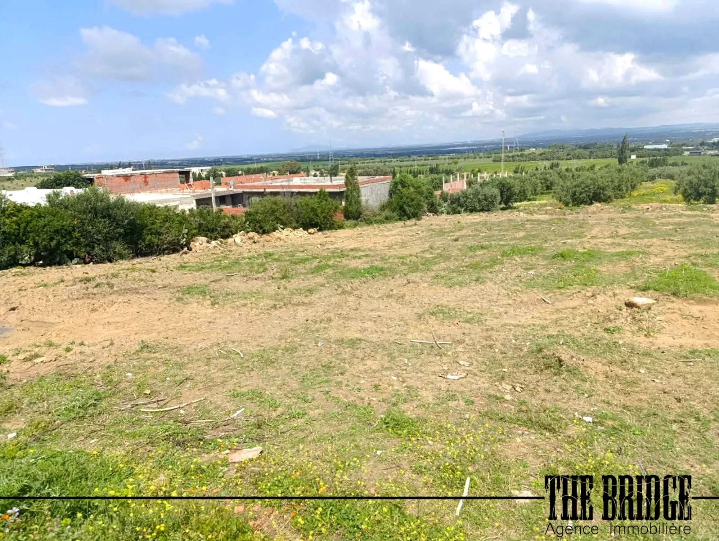 1000 m² vue sur les vergers de Bou Argoub