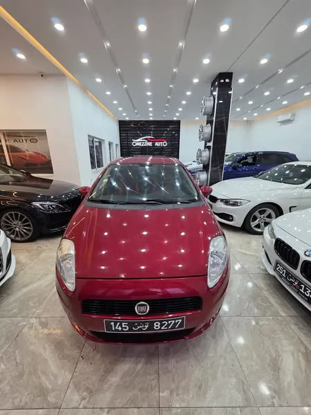 FIAT PUNTO GRANDI