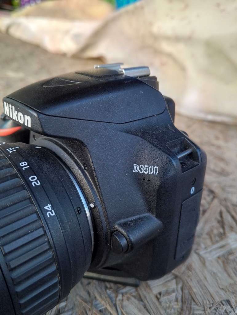 Nikon d3500