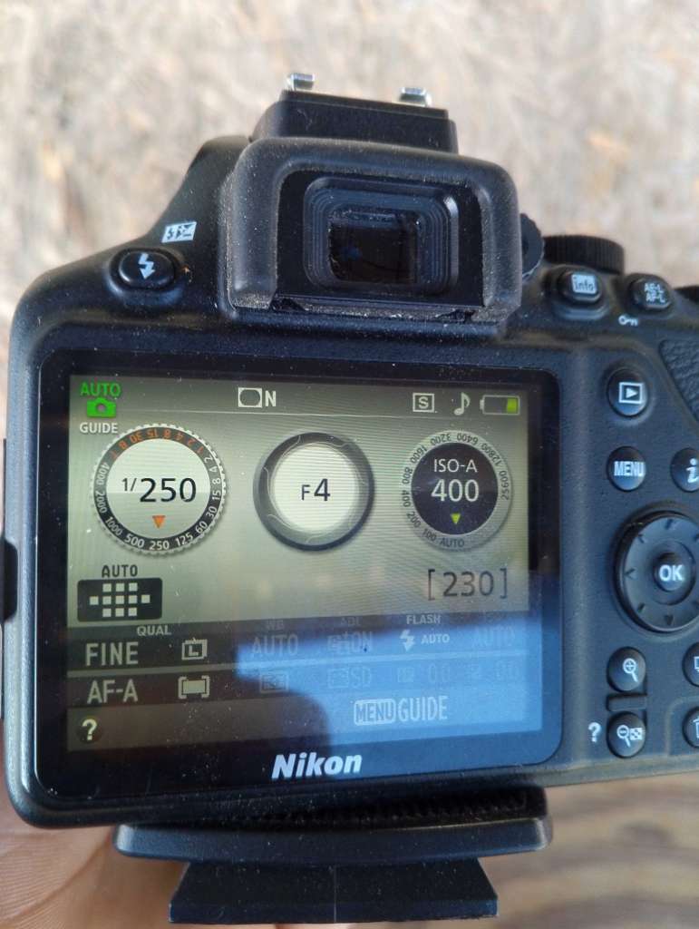 Nikon d3500