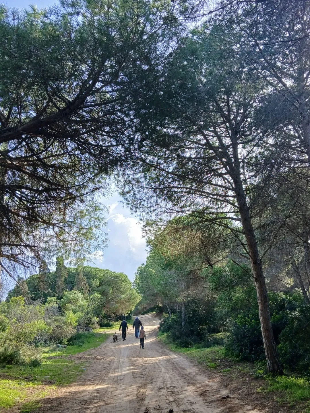 Terrain + maison route plage mami rasjbal