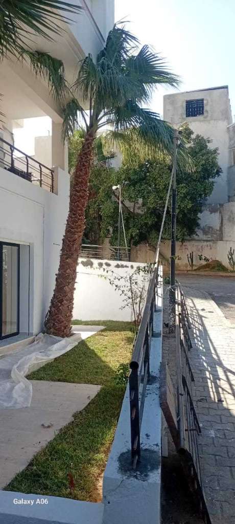 Apparemment S+3 à Gammarth