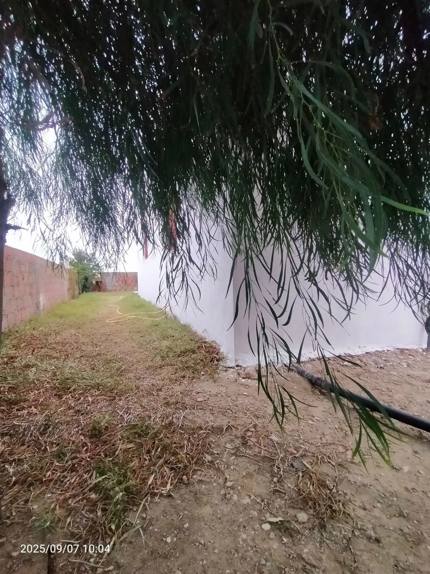 a vendre maison indépendante a elhaouaria