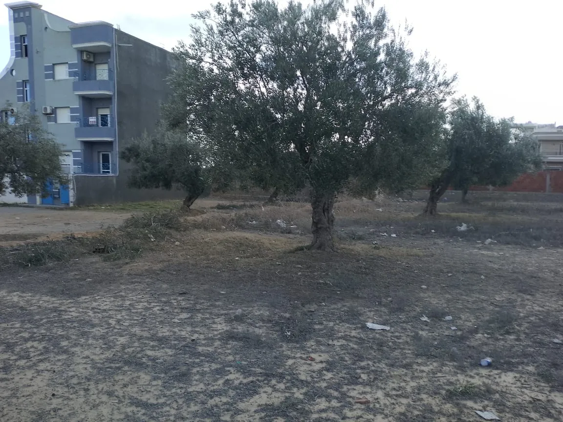 Lots Des Terrains Constructibles En Vente | Chott Mariem