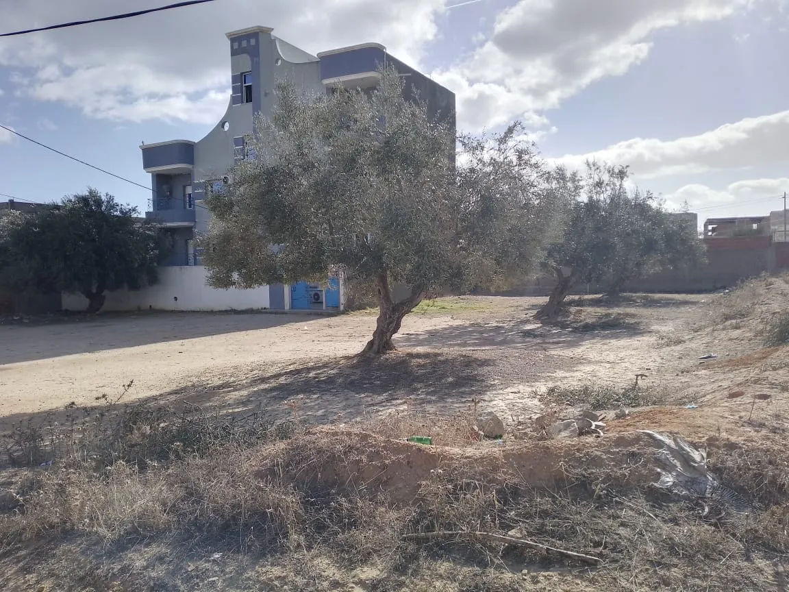 Lots Des Terrains Constructibles En Vente | Chott Mariem