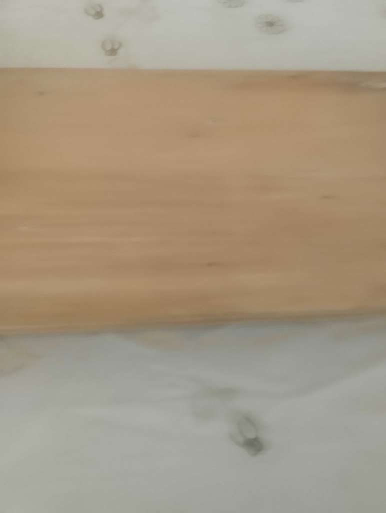 Skate board importer 