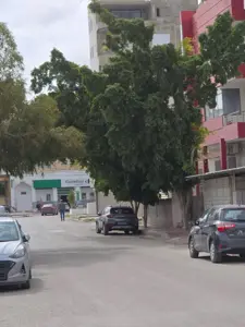 UN BEAU TERRAIN DE 740 m² A khezama_Est