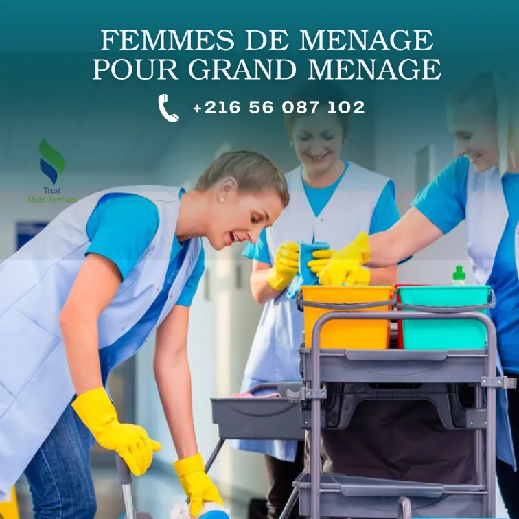 FEMME DE MENAGE PAR JOUR POUR GRAND MENAGE  A BORJ LOUZIR