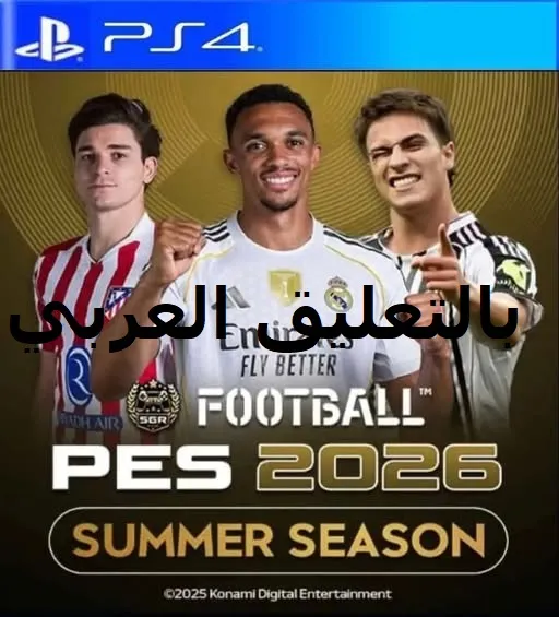 Patch PS4 BD-JB