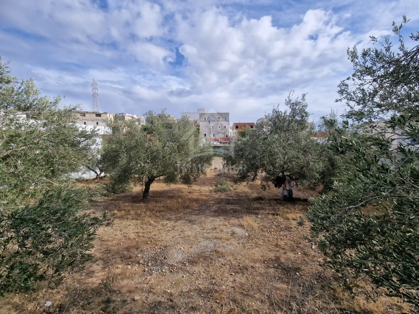 Terrain clôturé de 658 m² à Hammamet Nord à vendre 51355351