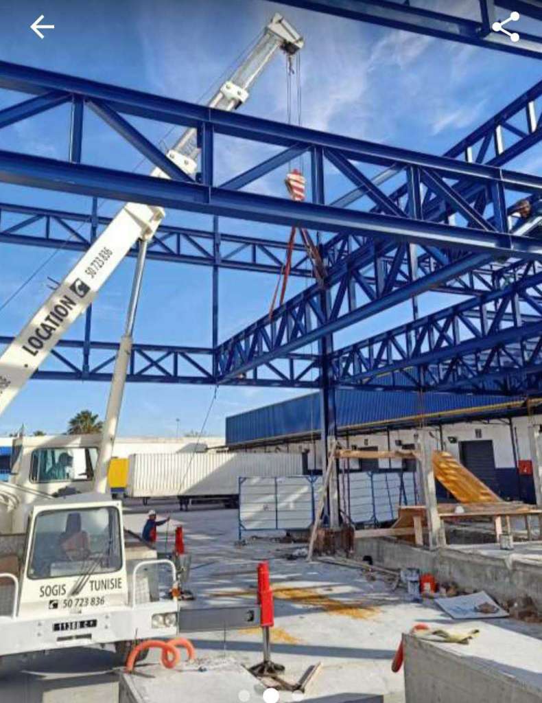 grue mobile 25 tonnes LIEBHERR double cabine