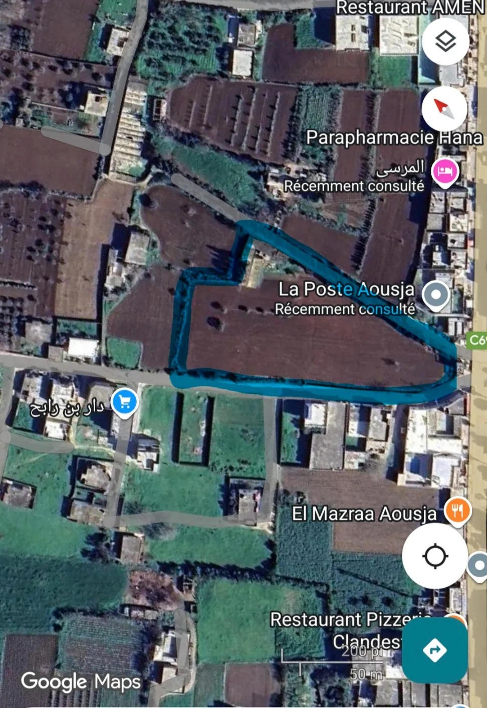 Terrain 10 000 m², route principale Aousja