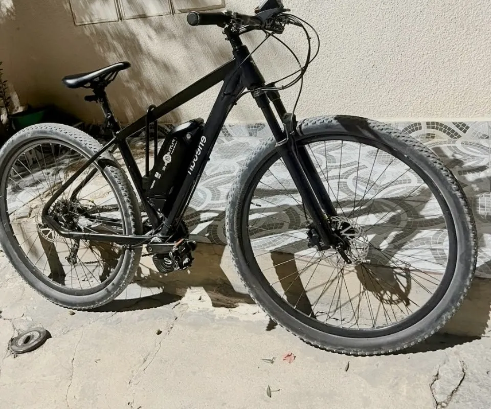 Vélo électrique 