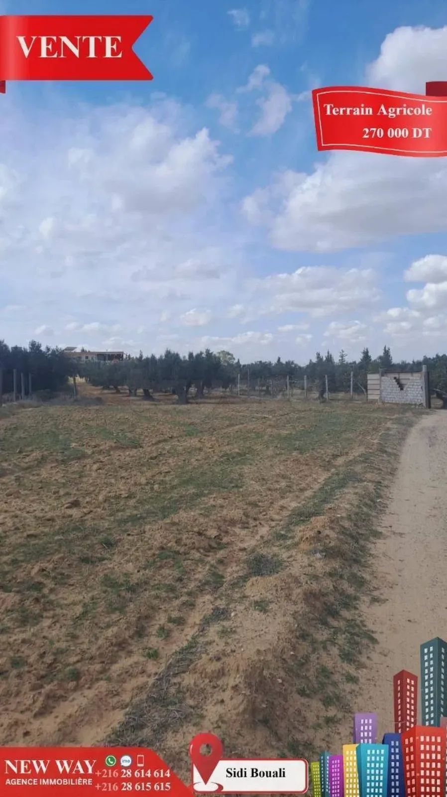 Terrain Agricole à Sidi Bouali près de l'autoroute et GP1