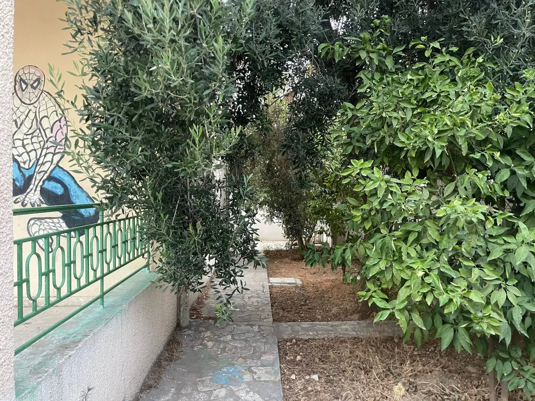 A Vendre Villa à rénover à Cité Ettahrir