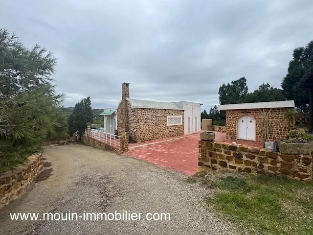 VILLA RENÉ Latrach Birbouregba Hammamet AL3685