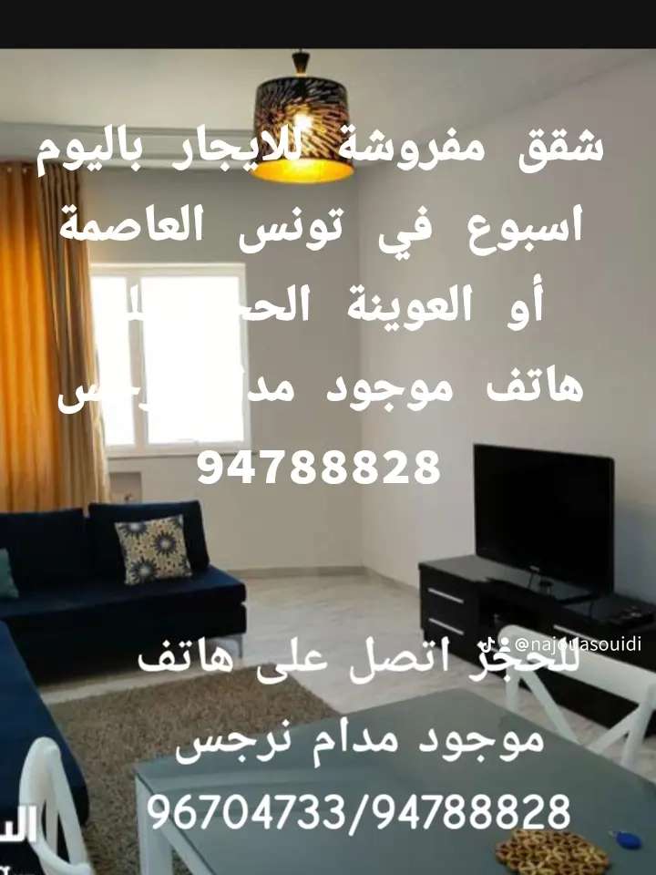 شقق مفروشة اخر طراز في تونس العاصمة أو العوينة 120/100/150