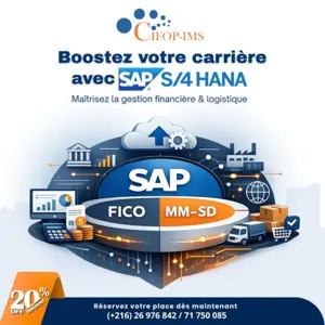 🚀 𝐒𝐀𝐏 𝐒/𝟒𝐇𝐀𝐍𝐀 : 𝐃𝐞𝐯𝐞𝐧𝐞𝐳 𝐄𝐱𝐩𝐞𝐫𝐭 𝐞𝐧 𝐅𝐢𝐧𝐚𝐧𝐜𝐞 & 𝐒𝐮𝐩𝐩𝐥𝐲 𝐂𝐡𝐚𝐢𝐧