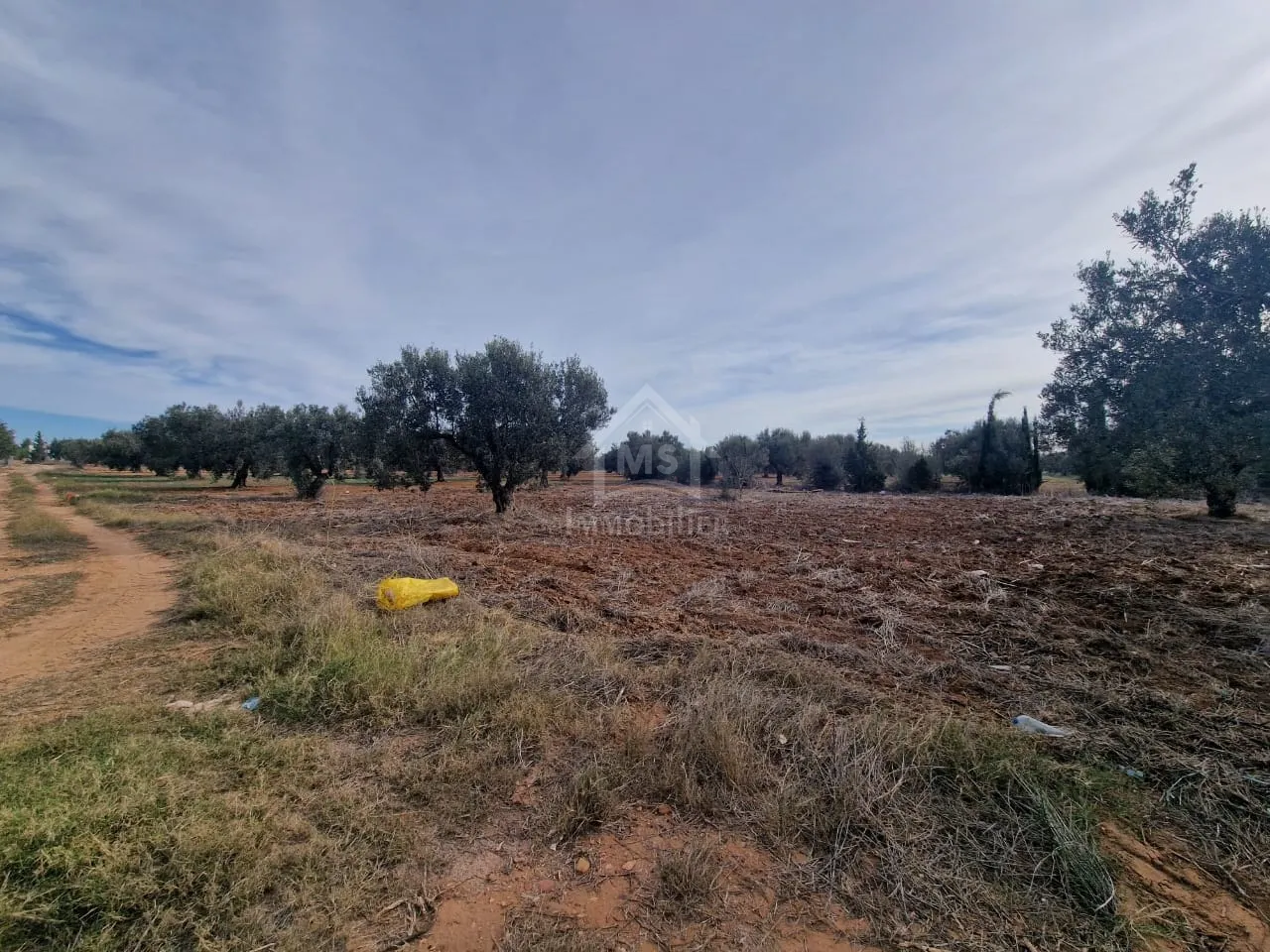 Terrain de 970 m² à Hammamet Sud à vendre à 230 MD 51355351