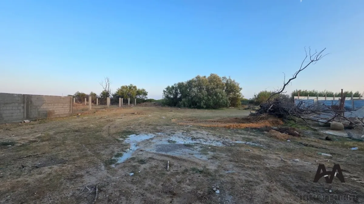 Terrain Pieds dans l'Eau de 917 m² à Jinène Béni Khiar