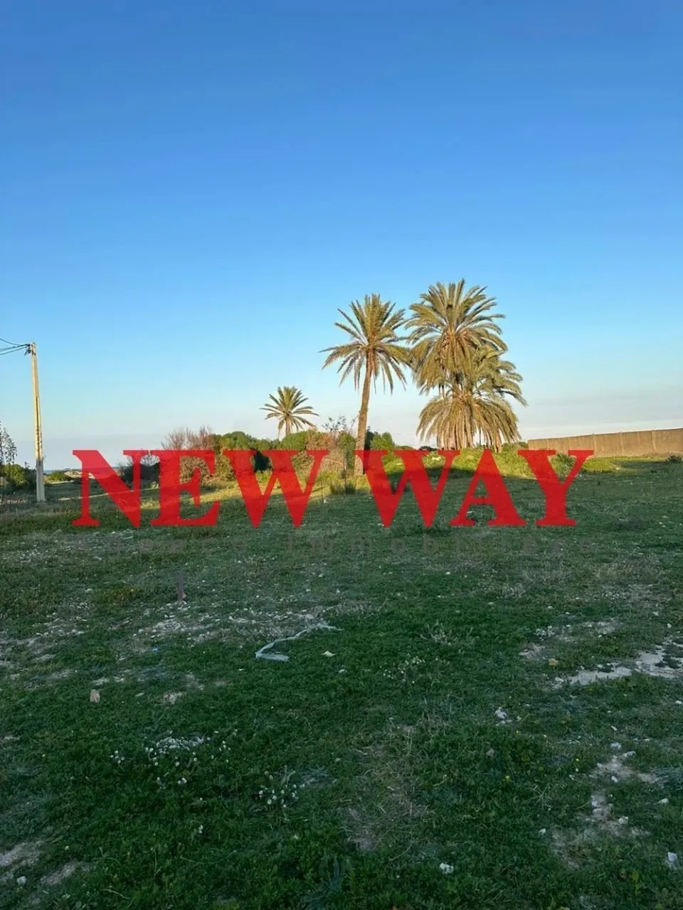 Terrain à Sidi Abdelhamid, Prés de la Mer