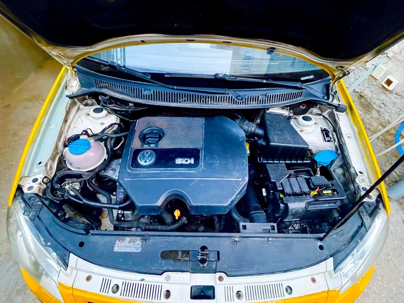 Polo 6