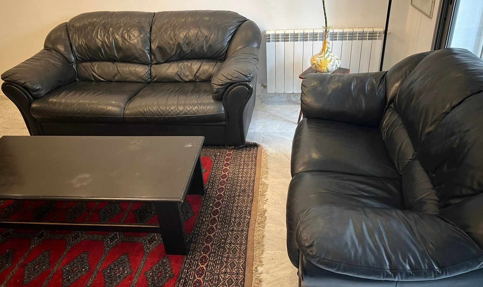 Salon cuir 